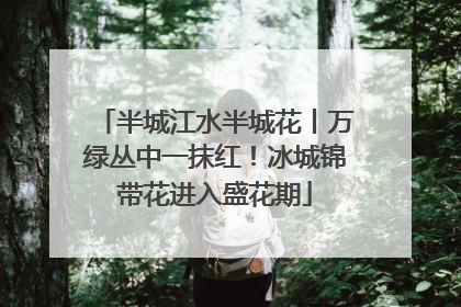 半城江水半城花丨万绿丛中一抹红！冰城锦带花进入盛花期