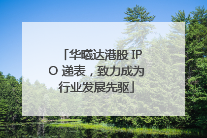 华曦达港股 IPO 递表，致力成为行业发展先驱
