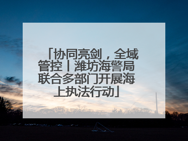 协同亮剑，全域管控丨潍坊海警局联合多部门开展海上执法行动