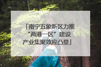 南宁五象新区力推“两港一区”建设 产业集聚效应凸显