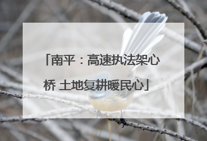 南平：高速执法架心桥 土地复耕暖民心