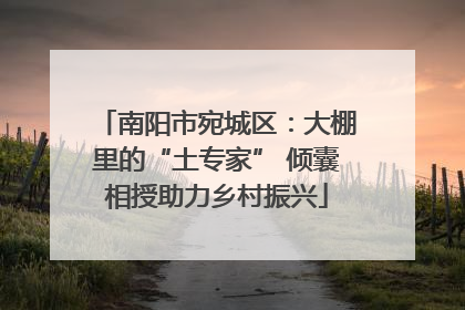 南阳市宛城区：大棚里的“土专家” 倾囊相授助力乡村振兴