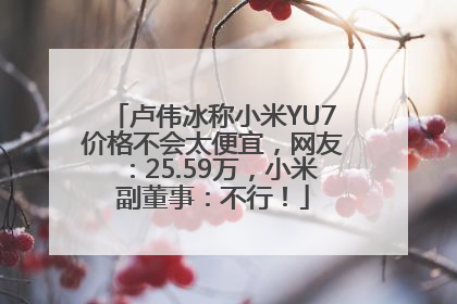 卢伟冰称小米YU7价格不会太便宜，网友：25.59万，小米副董事：不行！