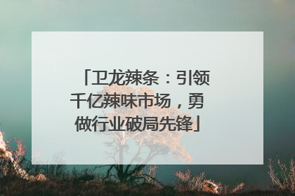 卫龙辣条：引领千亿辣味市场，勇做行业破局先锋