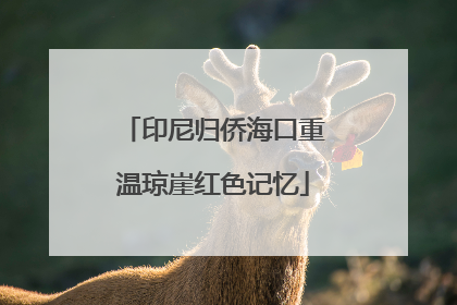印尼归侨海口重温琼崖红色记忆