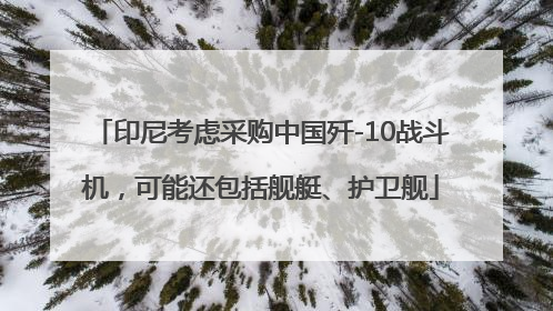 印尼考虑采购中国歼-10战斗机，可能还包括舰艇、护卫舰