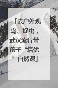 去户外观鸟、捉虫，武汉流行带孩子“培优”自然课