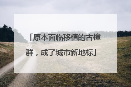 原本面临移植的古樟群，成了城市新地标