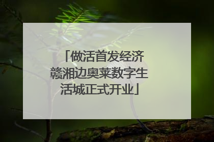 做活首发经济 赣湘边奥莱数字生活城正式开业