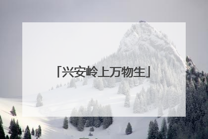 兴安岭上万物生