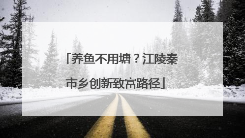 养鱼不用塘？江陵秦市乡创新致富路径