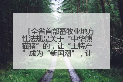 全省首部畜牧业地方性法规是关于“中华熊猫猪”的，让“土特产”成为“新国潮”，让“农产品”升格为“城市IP”