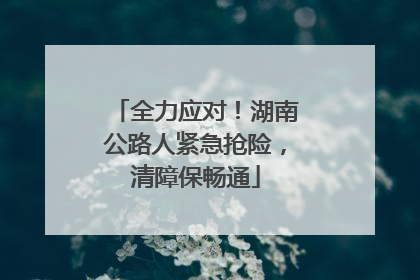 全力应对！湖南公路人紧急抢险，清障保畅通