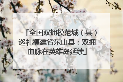 全国双拥模范城（县）巡礼福建省东山县：双拥血脉在英雄岛延续