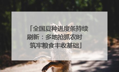 全国夏种进度条持续刷新：多地抢抓农时 筑牢粮食丰收基础