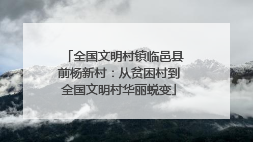 全国文明村镇临邑县前杨新村：从贫困村到全国文明村华丽蜕变