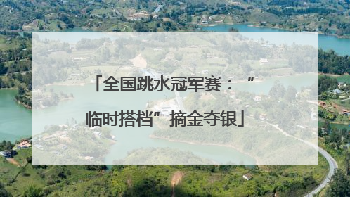 全国跳水冠军赛：“临时搭档”摘金夺银