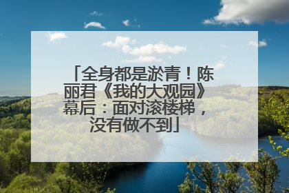 全身都是淤青！陈丽君《我的大观园》幕后：面对滚楼梯，没有做不到