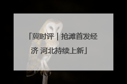 冀时评｜抢滩首发经济 河北持续上新