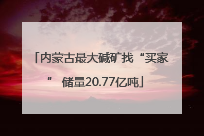 内蒙古最大碱矿找“买家” 储量20.77亿吨