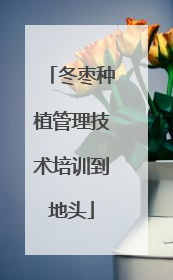 冬枣种植管理技术培训到地头