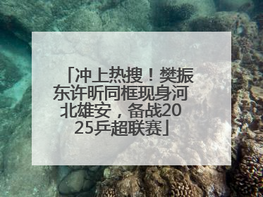 冲上热搜！樊振东许昕同框现身河北雄安，备战2025乒超联赛