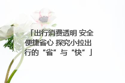 出行消费透明 安全便捷省心 探究小拉出行的“省”与“快”