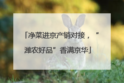 净菜进京产销对接，“潍农好品”香满京华
