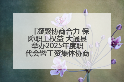 凝聚协商合力 保障职工权益 大通县举办2025年度职代会暨工资集体协商现场观摩交流活动