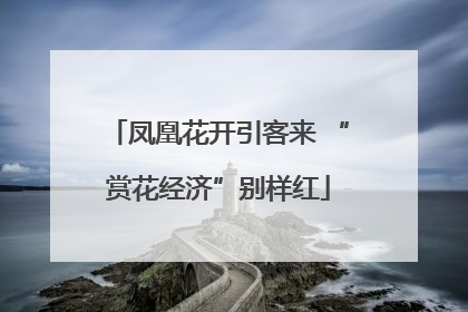 凤凰花开引客来 “赏花经济”别样红