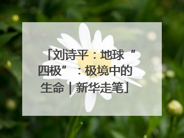 刘诗平：地球“四极”：极境中的生命｜新华走笔