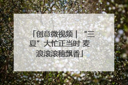 创意微视频｜“三夏”大忙正当时 麦浪滚滚穗飘香