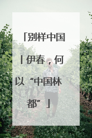 别样中国丨伊春，何以“中国林都”