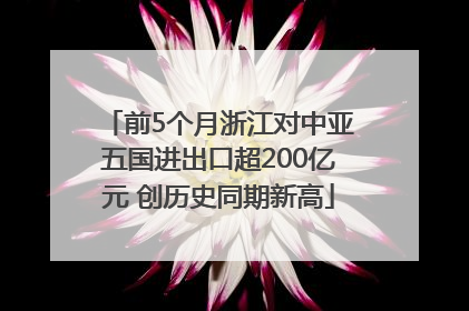 前5个月浙江对中亚五国进出口超200亿元 创历史同期新高