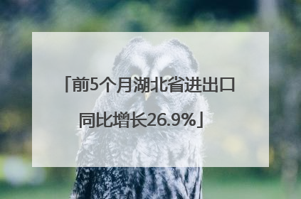 前5个月湖北省进出口同比增长26.9%