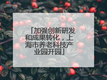 加强创新研发和成果转化，上海市养老科技产业园开园