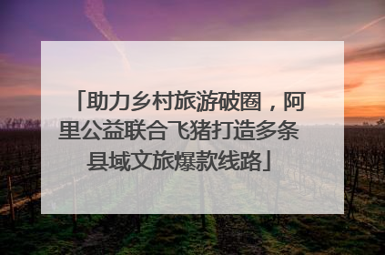助力乡村旅游破圈，阿里公益联合飞猪打造多条县域文旅爆款线路