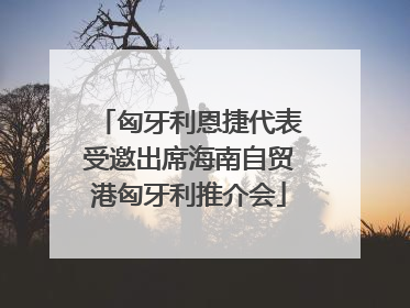 匈牙利恩捷代表受邀出席海南自贸港匈牙利推介会