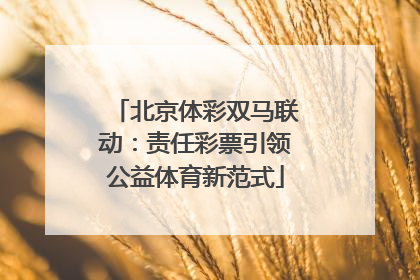 北京体彩双马联动：责任彩票引领公益体育新范式