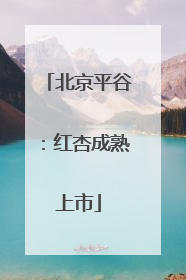 北京平谷：红杏成熟上市