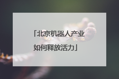 北京机器人产业如何释放活力