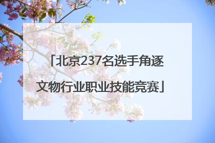 北京237名选手角逐文物行业职业技能竞赛