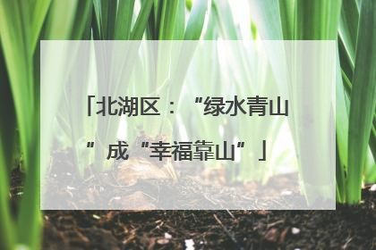 北湖区：“绿水青山”成“幸福靠山”