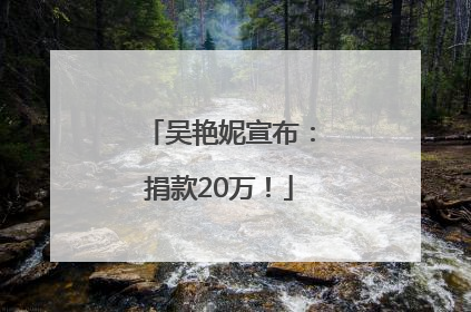 吴艳妮宣布：捐款20万！