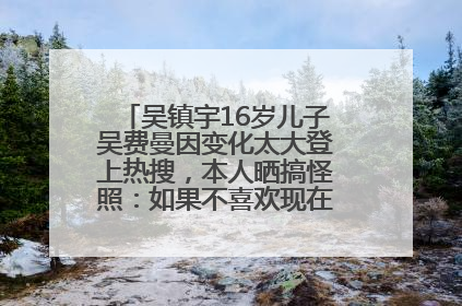 吴镇宇16岁儿子吴费曼因变化太大登上热搜，本人晒搞怪照：如果不喜欢现在的我可以离开