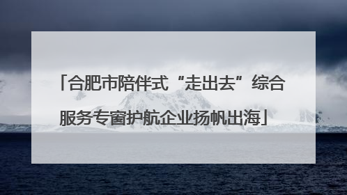 合肥市陪伴式“走出去”综合服务专窗护航企业扬帆出海