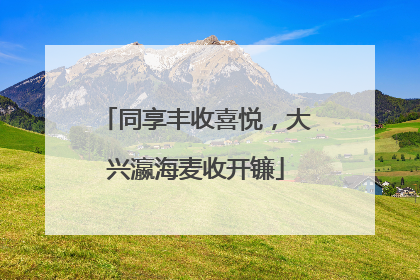 同享丰收喜悦，大兴瀛海麦收开镰