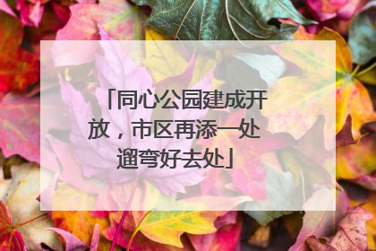 同心公园建成开放，市区再添一处遛弯好去处