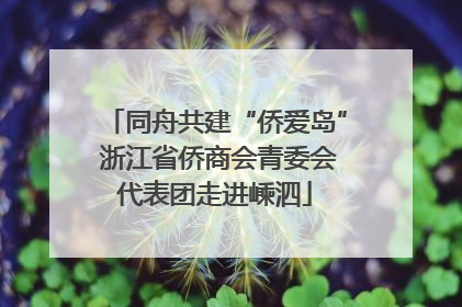 同舟共建“侨爱岛” 浙江省侨商会青委会代表团走进嵊泗