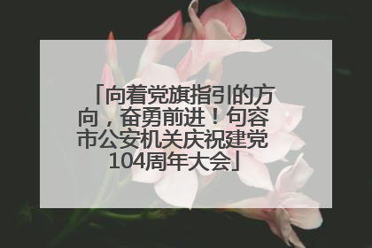 向着党旗指引的方向，奋勇前进！句容市公安机关庆祝建党104周年大会
